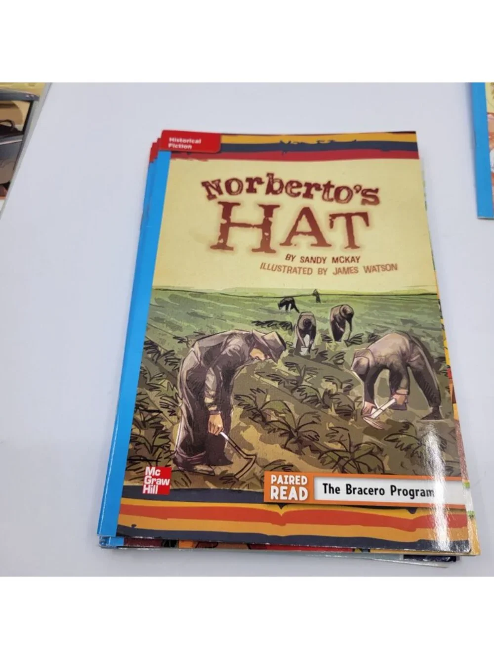 McGraw-Hill Leveled Readers Grade 5 Lot of 13 Paired Readers - BK094